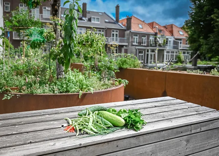 Court Garden Hotel Den Haag